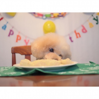 ���a�����B