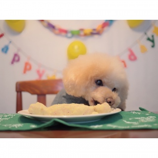 ���a�����C