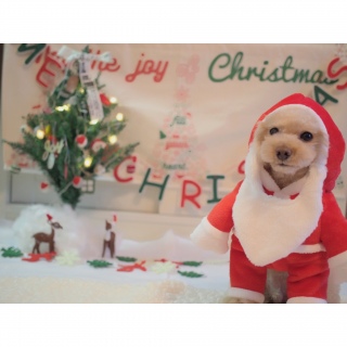 �����[�N���X�}�X�I