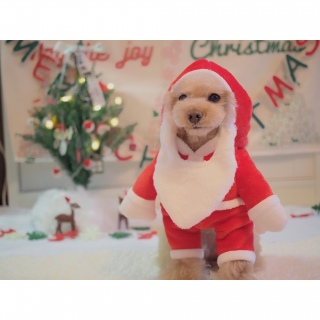 �����[�N���X�}�X♡