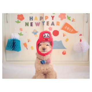 1���x�ꂽ����