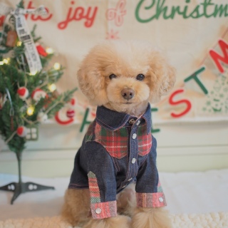 �L������♡