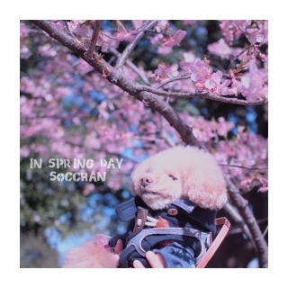 �s���N�Ɖ��F�B