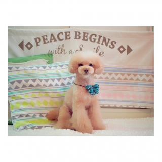 �����P���I