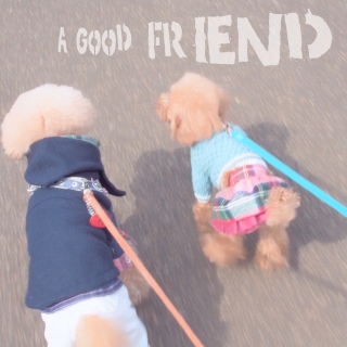 ���ǂ���