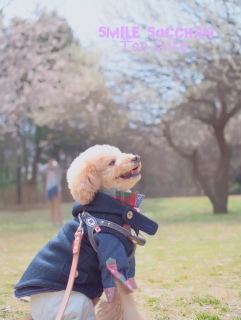 �ɂ����艤�q�����