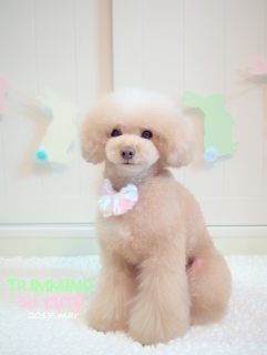 3���g���~���O��