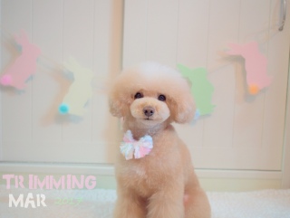 �g���~���O�A