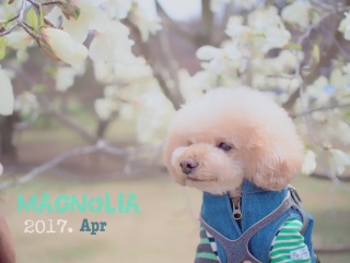 �X�V�x��C���c��T�̘b