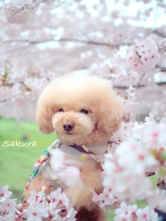 �\���C���V�m1