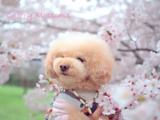 �\���C���V�m2