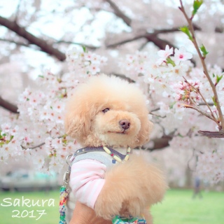 �\���C���V�m4