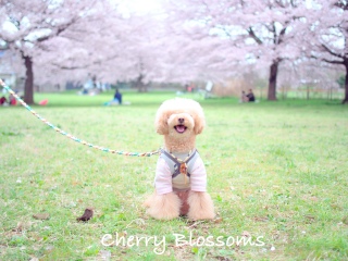 �����グ��