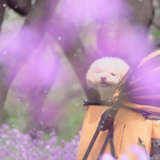 �I�[���̐�