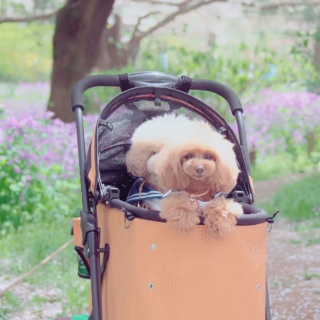 ���Ȃ��̒m��Ȃ����E