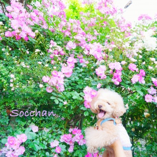 ���߂���