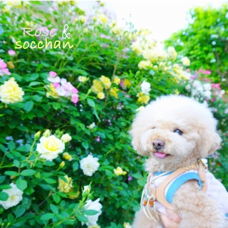 �I�����[