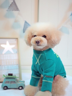 ���킢������