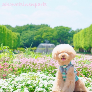 ���ʌ��ւ�