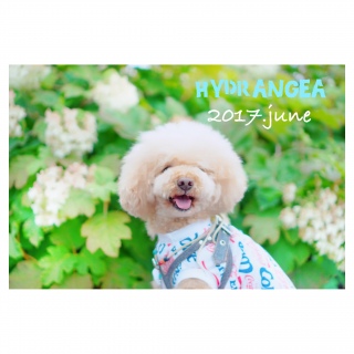 �@�m����