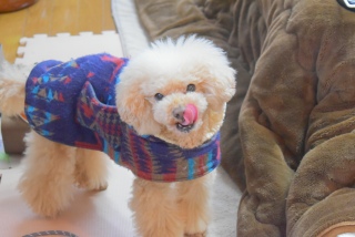 ���ѐH�ׂ����