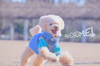 ����{�N�����@