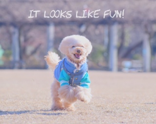 ����{�N�����A