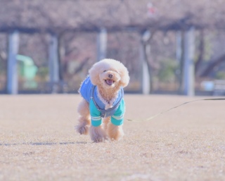 ����{�N�����B