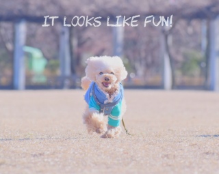 ���킢������