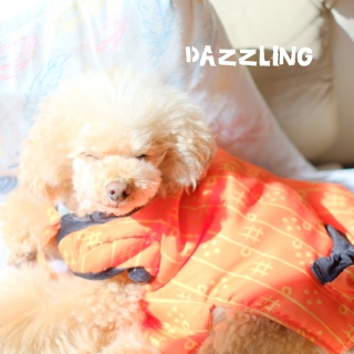 �܂Ԃ�����