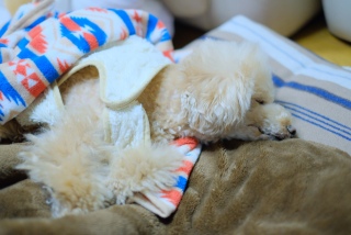 ������